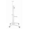 Βάση TV βάση δαπέδου 37-70/WEISS TVS-70T-02-W Gembird