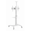 Βάση TV βάση δαπέδου 37-70/WEISS TVS-70T-02-W Gembird