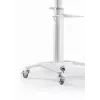 Βάση TV βάση δαπέδου 37-70/WEISS TVS-70T-02-W Gembird