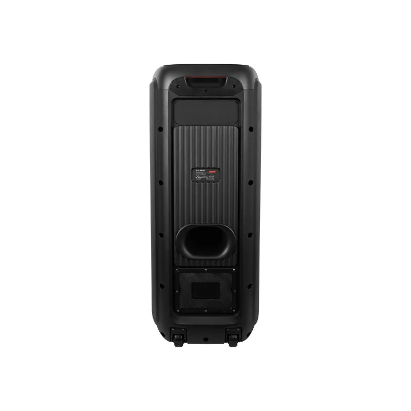 Ηχείο karaoke Infinity 10 ίντσες
