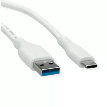 ROTRONIC-SECOMP VALUE - Καλώδιο USB - USB Type-A (M) σε USB-C (M)
