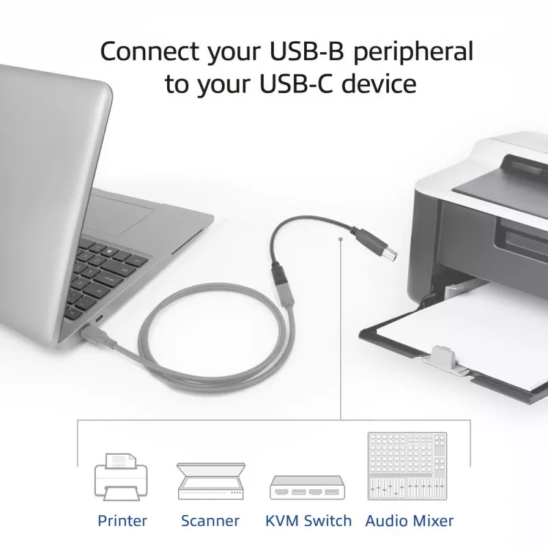 ACT Υποδοχή USB-C σε USB-B 2.0 Καλώδιο προσαρμογέα εκτυπωτή 0,2 m