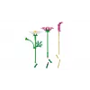 LEGO Botanicals 11514 Λουλούδια Kosmea (171 τεμ.)