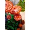 LEGO Botanicals 11505 Μανιτάρια δάσους (806 τεμ.)