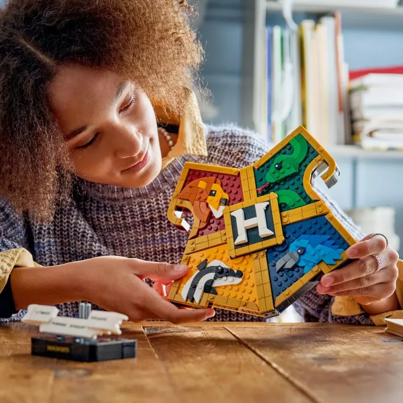 LEGO Harry Potter 76462 Θυρεός οίκου Hogwarts (545 τεμ.)