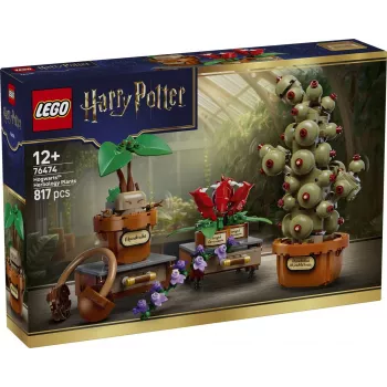 LEGO Harry Potter 76474 Φυτά βοτανολογίας Hogwarts (817 τεμ.)