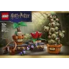 LEGO Harry Potter 76474 Φυτά βοτανολογίας Hogwarts (817 τεμ.)