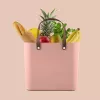 Rotho Multibag Albula Style 25L κουτί αποθήκευσης, Meadow Rose