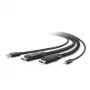 Belkin Secure KVM Combo Καλώδιο - Καλώδιο Πληκτρολογίου/Βίντεο/Ποντικιού/Ήχου - TAA-συμμορφούμενο - USB, Mini-Βύσμα, DisplayPort (Βύσμα) - 3 m