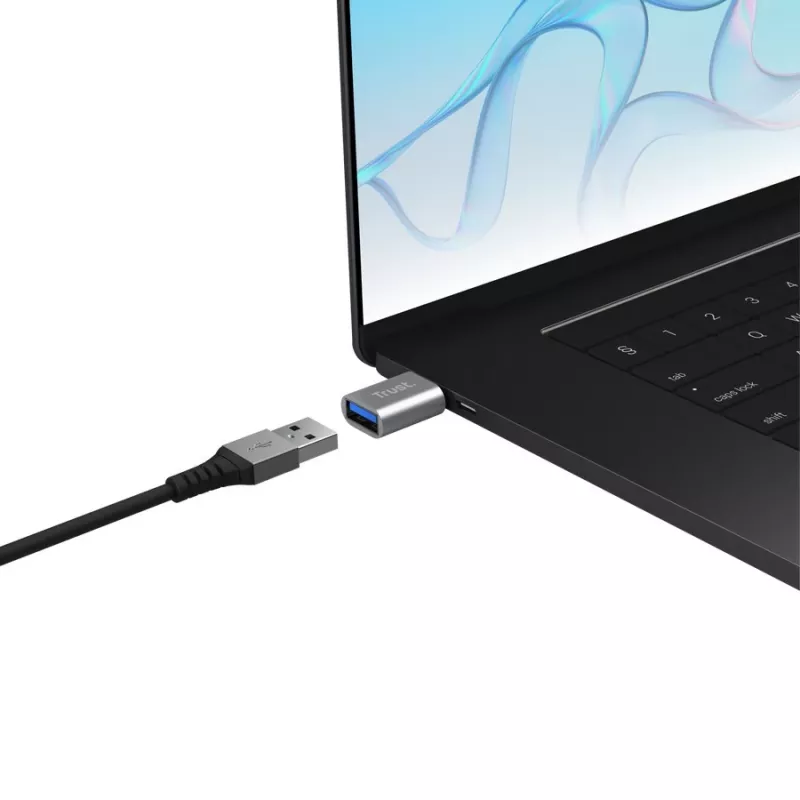 Trust Calyx Προσαρμογέας USB-C σε USB-A, συσκευασία 2 τεμ.