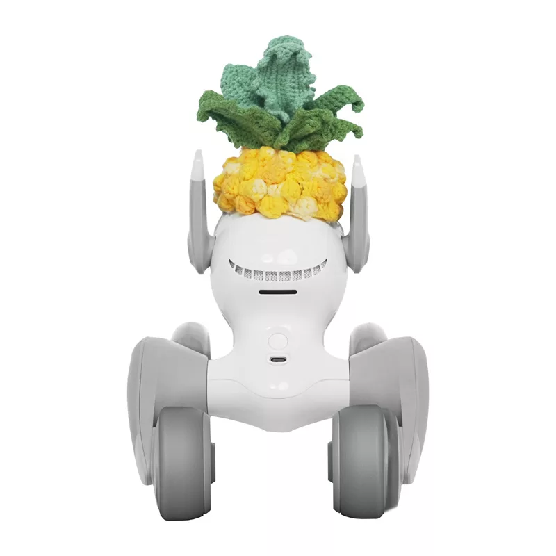 Πλεκτό κοστούμι για Loona Premium Pineapple