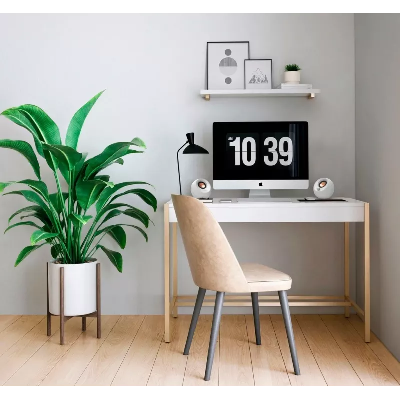 Creative Labs Pebble V3 Λευκό Ενσύρματο & Ασύρματο 10 W
