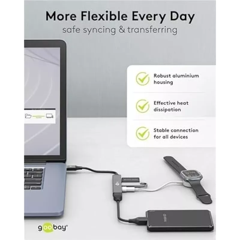 Goobay USB Hub 74456 Type-A 5000 Mbit/s Ανοιχτό γκρι