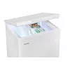 Καταψύκτης Amica GT 311 105 W