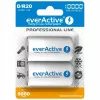 Επαναφορτιζόμενη μπαταρία everActive EVHRL20-10000 D NiMH 1,2 V 2 τεμ.