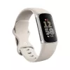 Fitbit GA05185-EU Προϊόν Ασημί