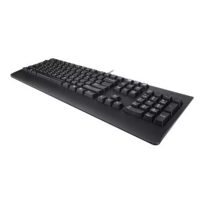 Lenovo 4X30M86918 πληκτρολόγιο Office USB QWERTY US Αγγλικά μαύρο