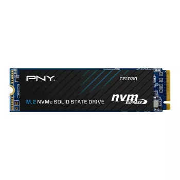 PNY CS1030 256GB M.2 2280 PCIe NVMe Gen3 x4 Εσωτερικός Σκληρός Δίσκος SSD (Bulk)