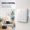 QOLTEC Smart Light Switch WiFi 2-Gang Χρονοδιακόπτης Tuya Λευκό