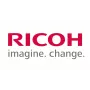 Ricoh D194-2485 (D1942485) Στεγανοποίηση: Λεπίδα: Εφαρμογή