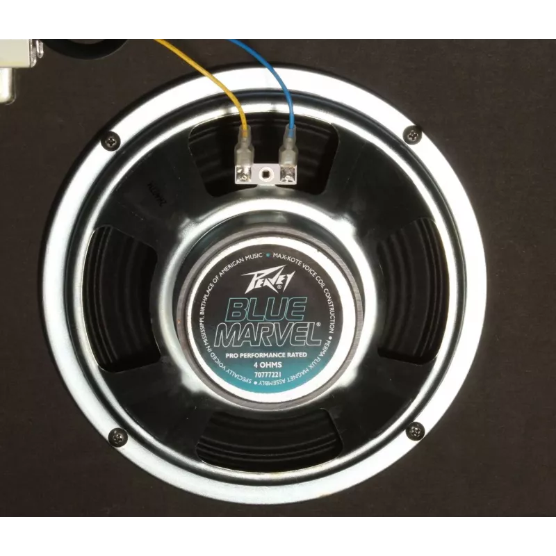 Peavey Electronics Rage 158 - Ενισχυτής κιθάρας 15W