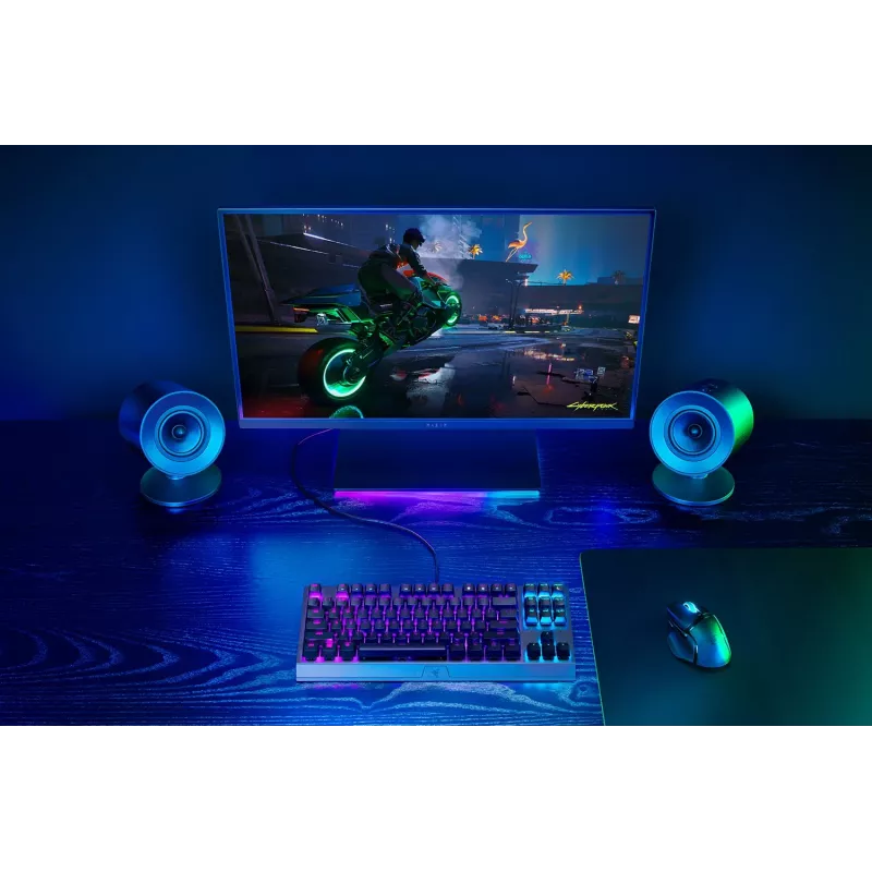 Razer ηχείο RZ05-04760100-R3G1 / Nommo V2 X μαύρο