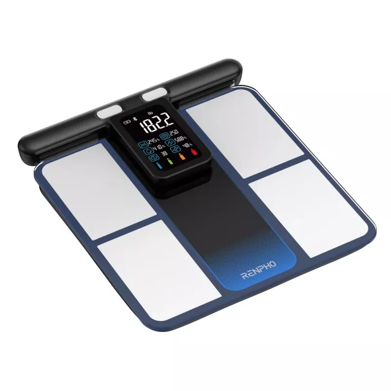 RENPHO MorphoScan MSC01 Ζυγαριά, Μαύρο/Ασημί, USB-C, Bluetooth