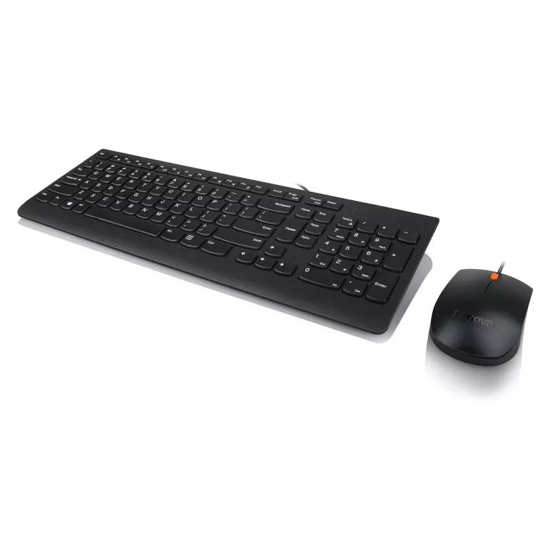 Lenovo 300 USB Πληκτρολόγιο - US English QWERTY - μαύρο