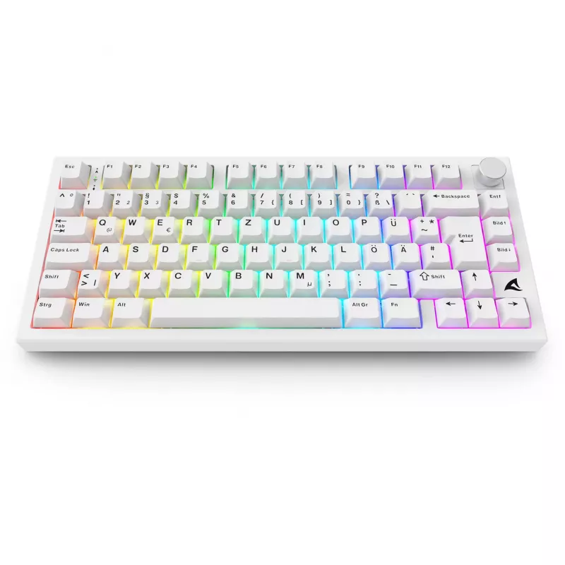 Sharkoon SGK55W SKILLER Wireless Gaming Keyboard, 75% Layout, PBT Keycaps, Λευκό