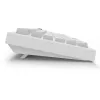 Sharkoon SGK55W SKILLER Wireless Gaming Keyboard, 75% Layout, PBT Keycaps, Λευκό