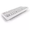 Sharkoon SGK55W SKILLER Wireless Gaming Keyboard, 75% Layout, PBT Keycaps, Λευκό