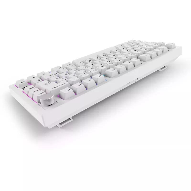 Sharkoon SGK55W SKILLER Wireless Gaming Keyboard, 75% Layout, PBT Keycaps, Λευκό