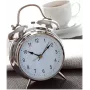 TFA Dostmann 98.1043 Ξυπνητήρι Quartz Ασημί