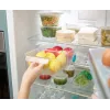 Joseph Joseph FridgeStore Μεγάλο διαφανές δοχείο αποθήκευσης