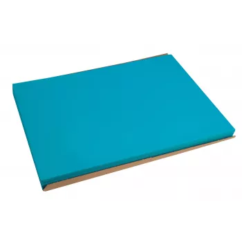 PROnappe 500 σουβέρ Tiss Lack τιρκουάζ 30,0 x 40,0 cm