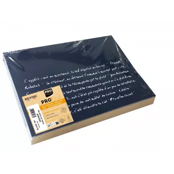 PROnappe 400 σουβέρ σχιστόλιθου μαύρα 30,0 x 40,0 cm