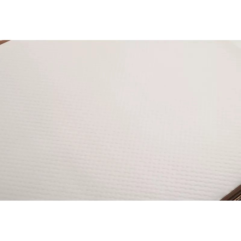 PROnappe 500 σουβέρ Tiss Lack λευκά 30,0 x 40,0 cm