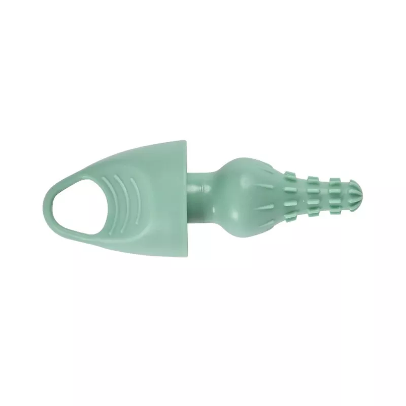 Beaba Σιλικονούχο Μπιμπερό και Βούρτσα Θηλών Sage Green