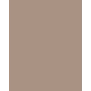 Folia 614/50 73 Cappuccino Solid A4 Χαρτόνι 300 g/m² 50 Φύλλα
