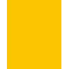 Folia 614/50 15 χαρτόνι A4 χρυσοκίτρινο 300 g/m² 50 φύλλα