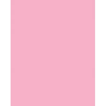 Folia 614/50 26 - ροζ - μονόχρωμο - A4 (210 x 297 mm) - 300 g/m² - 50 φύλλα - Γερμανία