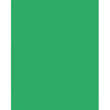 Folia 614/50 54 - πράσινο - μονόχρωμο - A4 (210 x 297 mm) - 300 g/m² - 50 φύλλα - Γερμανία