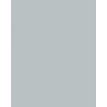 Folia 614/50 60 χαρτί σχεδίου - ασημί - A4 (210 x 297 mm) - 300 g/m² - ματ - 50 φύλλα