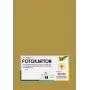 Folia 614/50 65 - χρυσό - μονόχρωμο - A4 (210 x 297 mm) - 300 g/m² - ματ - 50 φύλλα