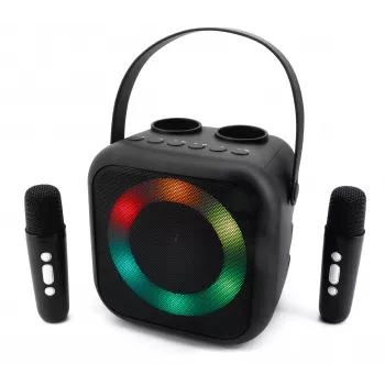 Soundmaster BT2024SW ηχείο Bluetooth, φωτισμός disco, 2 μικρόφωνα, μαύρο