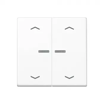 JUNG Home Διακόπτης 2-πλός Bluetooth AS 17102 P WW