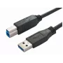 Bachmann 917.1203 Καλώδιο USB 3.2 Gen 1 - USB A σε USB B - 3 m - Μαύρο