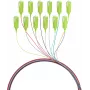 EFB Elektronik Fibre Pigtail SC 50/125 OM5, σετ 12 χρωμάτων, 2m
