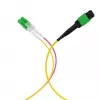 EFB Elektronik MTPF12LCAPC-1 - 1 m - OS2 - MTP - 12x LC Καλώδιο breakout οπτικών ινών