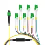 EFB Elektronik MTPF12LCAPC-10 - 10 m - OS2 - MTP - 12x LC